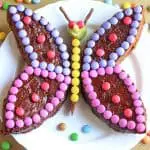 Gâteau au chocolat en forme de papillon