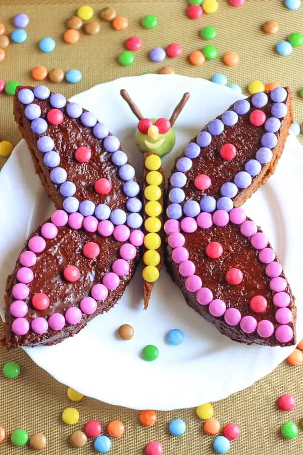 Gâteau d'anniversaire en forme de papillon