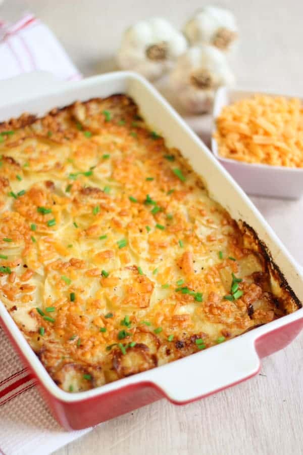 Gratin de pommes de terre au cheddar