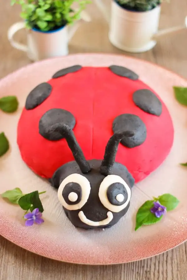 gâteau coccinelle