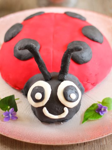 Gâteau coccinelle