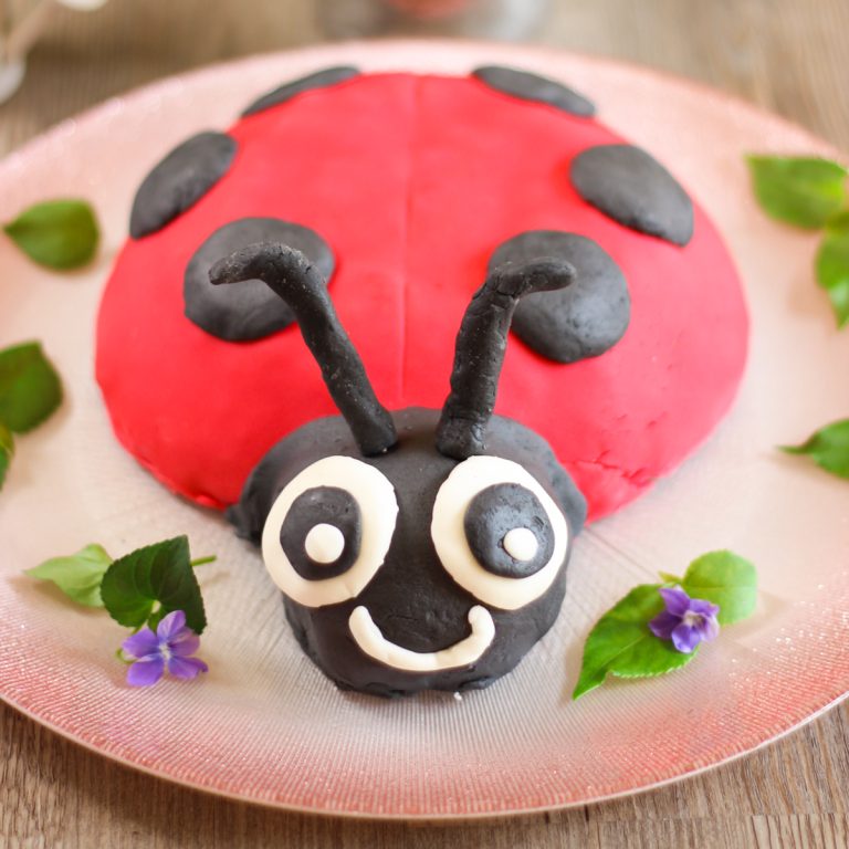 Gâteau coccinelle
