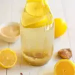 recette du kéfir de fruit