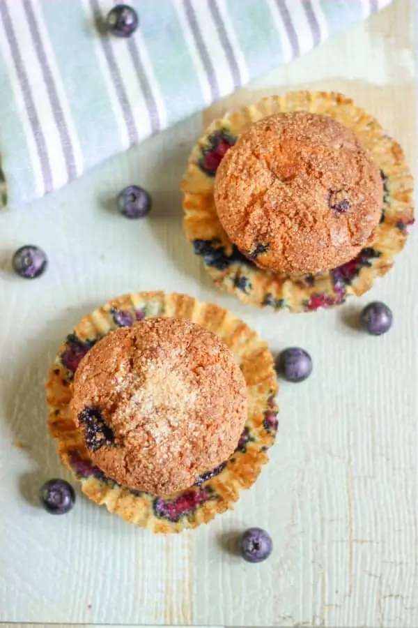 Muffins aux myrtilles